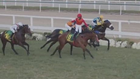 Jockey escapes embarrassment for celebrating too early and almost blowing chance at £3.7m
