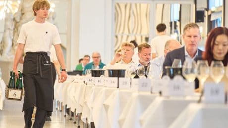 Deutscher Weinbau: Winzer trotzen mit Spitzenqualität der Krise