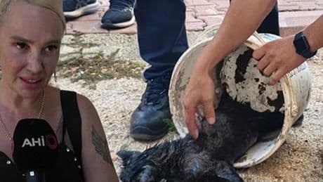 Kedisi içerdeyken evi yanan Ukraynalı kadın polisin kucağına bayıldı