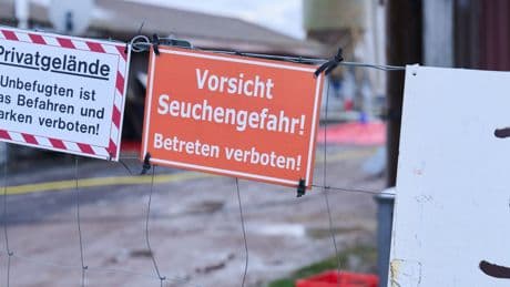 Maul- und Klauenseuche: Deutschland frei von Maul- und Klauenseuche – weiter Risiken