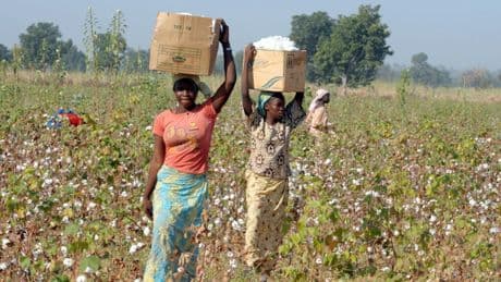 Cameroun: des femmes mobilisées contre les féminicides passent à l'action
