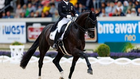 Reitsport: Isabell Werth und der umstrittene Pferdehändler
