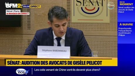 "Elle s'est battue pour que soit diffusé les vidéos de ces viols pour interpeller la société": Stéphane Babonneau, l'un des avocats de Gisèle Pelicot, s'exprime devant le Sénat