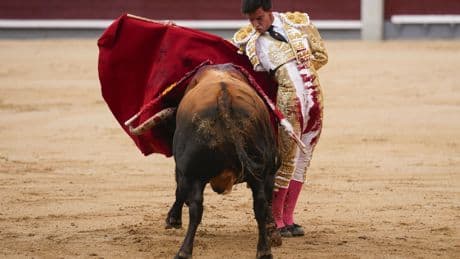 Al Alimón: Alejandro Peñaranda destaca sin premio en su confirmación en Las Ventas