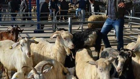 İlçede alarm! 15 mahallede karantina uygulaması başladı