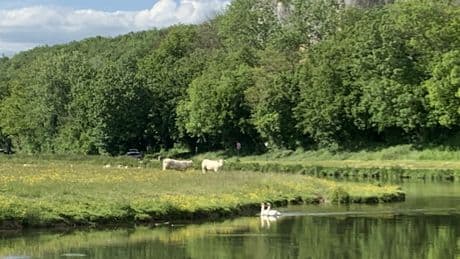 Nappe de brouillard sur la loi anti-entraves agricoles