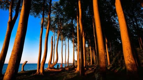Ostsee-Ferien: "Grüne Stadt am Meer" ist Urlaubstipp ab Berlin