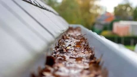Home insurance experts warn of autumn mistakes that could invalidate your policy