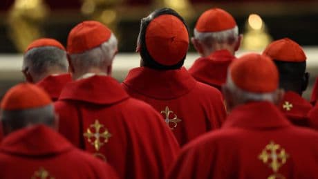 70 nationalités représentées, des cardinaux de 45 à 79 ans, 5 Français : radiographie des électeurs du pape