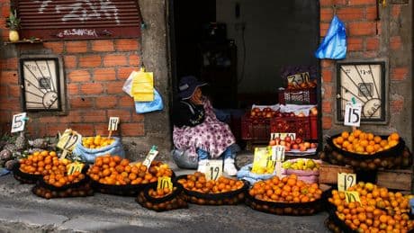 Photos of Bolivia’s road to the polls under the shadow of an economic crisis