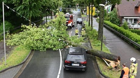 Bei Starkregen in NRW - Während der Fahrt! Baum kracht auf Auto von Familie