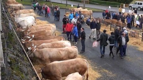 Zeanuri celebra desde este jueves y hasta el domingo sus fiestas de San Isidro