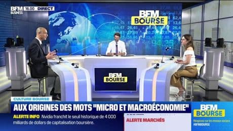 Culture Bourse : Aux origines des mots "micro et macroéconomie", par Julie Cohen-Heurton - 09/07