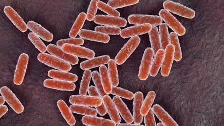 A California Resident Tests Positive for Plague. What to Know About the Disease