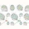 Using ChatGPT? It might make you STUPID: Brain scans reveal how using AI erodes critical thinking skills