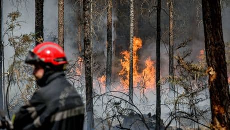 Sans canicule, ni feux de forêt, ni catastrophes climatiques, point d'écologie