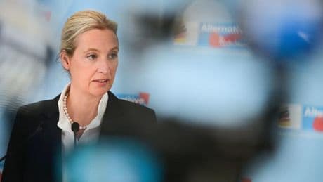 Medien veröffentlichen das geheime AfD-Gutachten