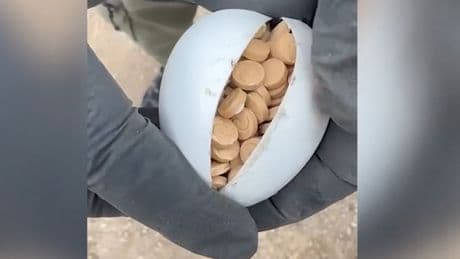 Mersin'de zehir tacirlerine yönelik operasyonda 3 milyon 542 bin adet uyuşturucu hap ele geçirildi