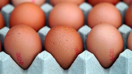 El truco para guardar los huevos y que duren más tiempo frescos y casi nadie conoce