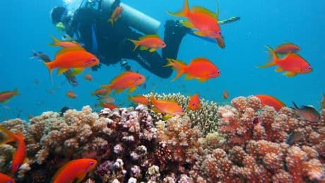Muere un español de 37 años mientras practicaba submarinismo en Bali