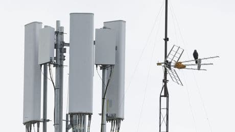 El 5G rápido sigue creciendo y llega al 74% de la población