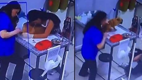 Veteriner kliniğinde şok anlar! Köpeğini tedavi ettiren kadın yere yığıldı