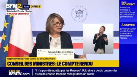 Loi Duplomb: Emmanuel Macron appelle à "respecter le temps institutionnel"