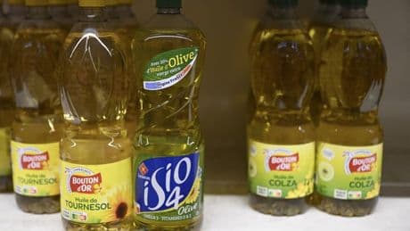 Huile d'olive contaminée aux hydrocarbures: des alternatives saines et bon marché existent