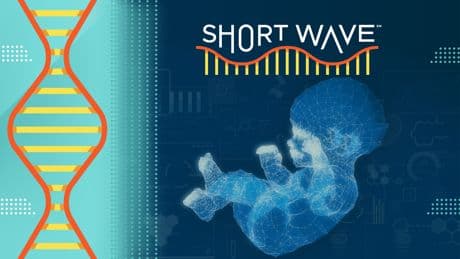 The tech behind genetically modified babies is getting a reboot