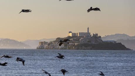“Yo fui feliz en Alcatraz”