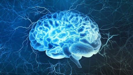 Scientists find musical link to boosting brain function for life