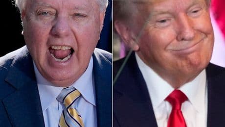 'This Is Pathetic': Lindsey Graham Ripped After 'Groveling' New Trump Message