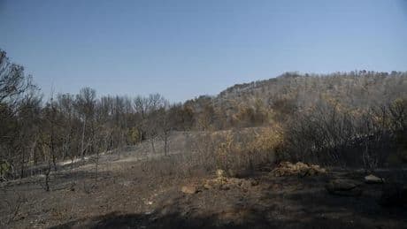 Dans l’Aude, les images aériennes de paysages réduits en cendres
