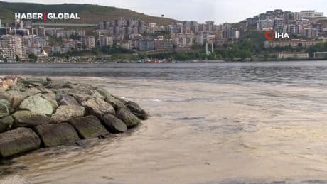 Gemlik Sahilleri'nde tehlikeli çanları! Müsilaj balık yumurtalarını öldürüyor