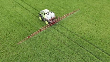Muss Monsanto sterben, damit Bayer überlebt?