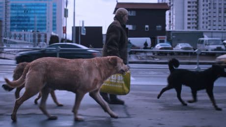 Kino: Der schläfrige Blick eines Hundes