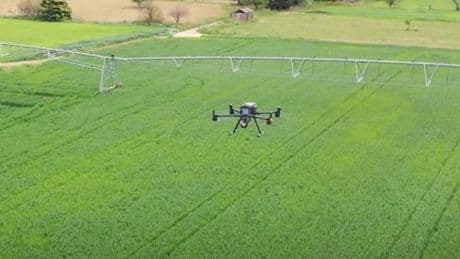 La recherche en agriculture recourt aux drones et à l’IA pour faire face au changement climatique
