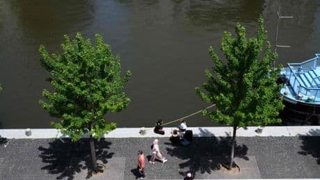 Une vague de chaleur « précoce », avec des températures allant jusqu’à 38 °C, arrive en France, avec un pic prévu samedi