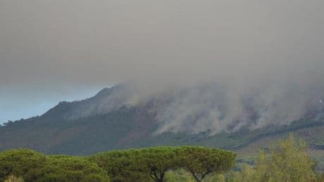 Rogo alle pendici del Vesuvio, la Liguria invia 4 squadre antincendio