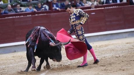 José María Manzanares reaparece el viernes en Sevilla y lidera el festival de la DANA en Valencia