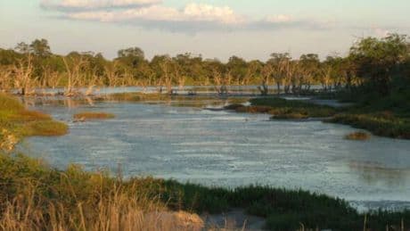 The African safari hidden gem with excursions from £140