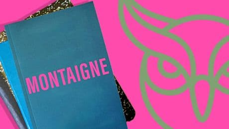 Pourquoi vaut-il mieux avoir la tête « bien faite » que « bien pleine » ?