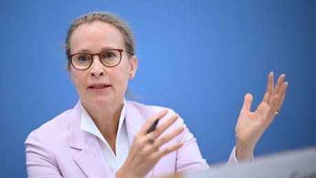 Die SPD und das Bundesverfassungsgericht: Wie radikal ist Frauke Brosius-Gersdorf?