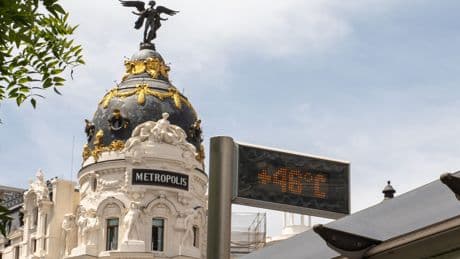 Jaula busca pájaro y un Madrid desierto