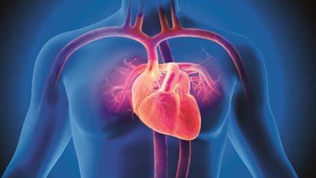 Arythmies, insuffisance cardiaque, infarctus, AVC... Les progrès spectaculaires de la médecine cardio-vasculaire