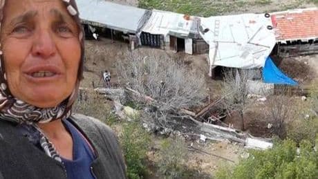 Sabah manzarayı görünce şoke oldular! 'Eşimden bile kıskanıyordum'