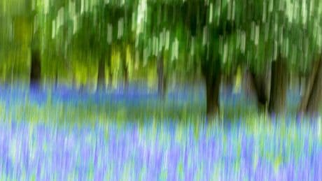 Jugendliebe | Seán Hewitts Roman „Öffnet sich der Himmel“ erzählt eine schwule Coming-of-Age-Geschichte