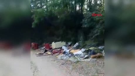Sakarya’da kurban atıkları ormana atıldı