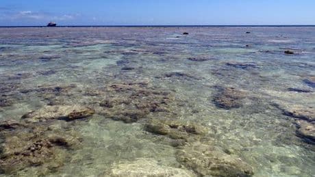 Madagascar veut que la France rétrocède les îles Éparses, mais le processus s’enlise