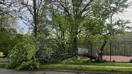 Storm leaves 3 dead in Pennsylvania and about 500K customers without power